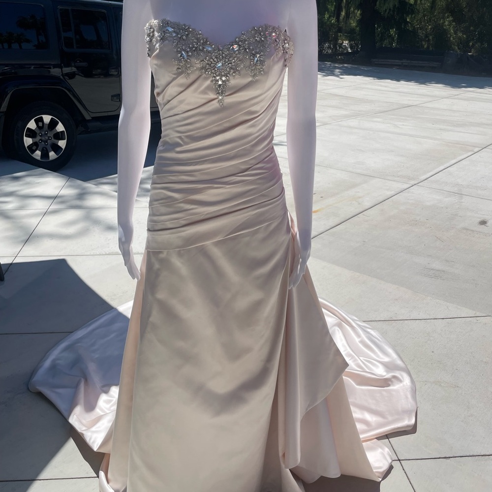 Couture Collection elegant Blush wedding dress - Picture 2 of 15
